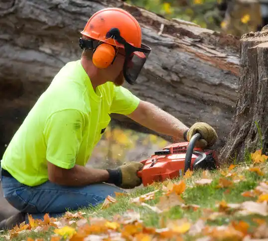 tree services Kellogg